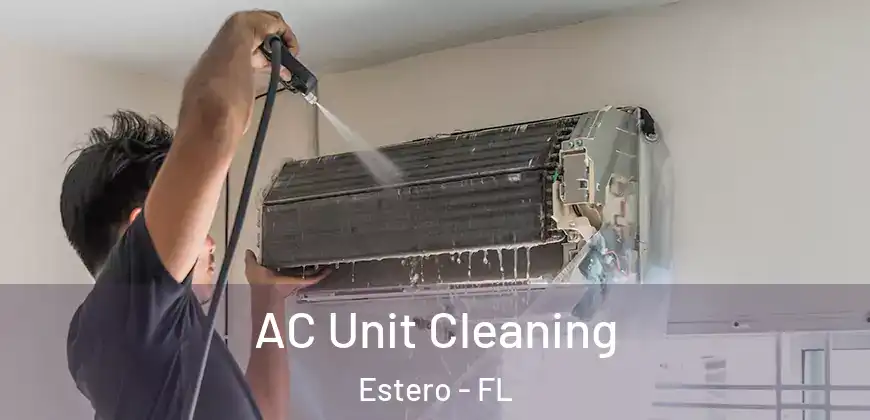 AC Unit Cleaning Estero - FL